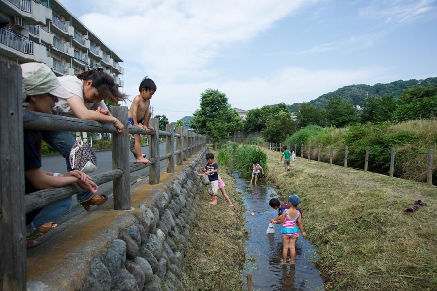 平山用水を引き込んだ水辺が作られています