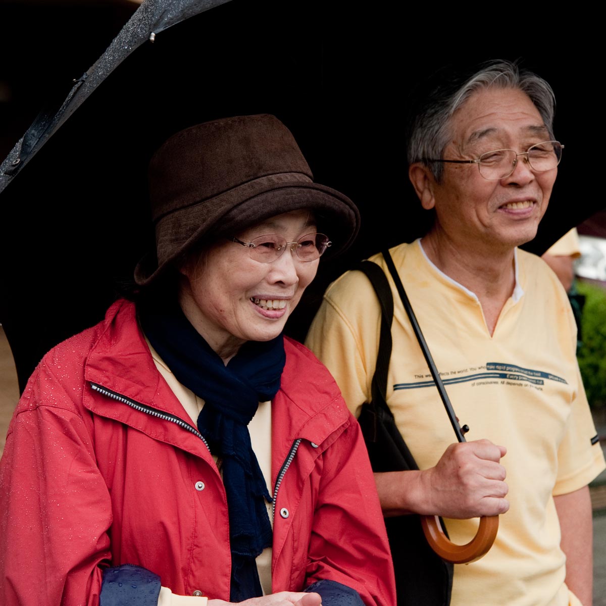 熱気で雨も吹き飛ばしたひのよさこい祭