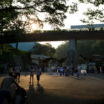 夏休みは夜も動物園