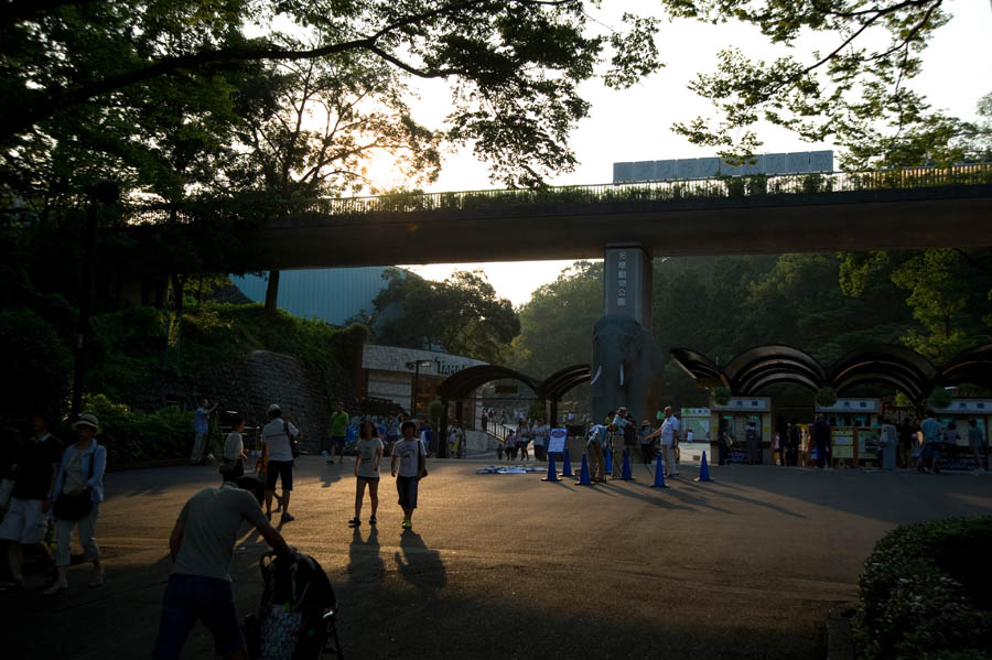 夏休みは夜も動物園