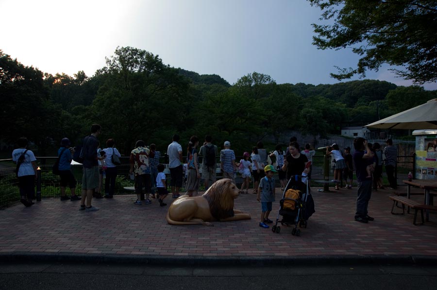 夏休みは夜も動物園