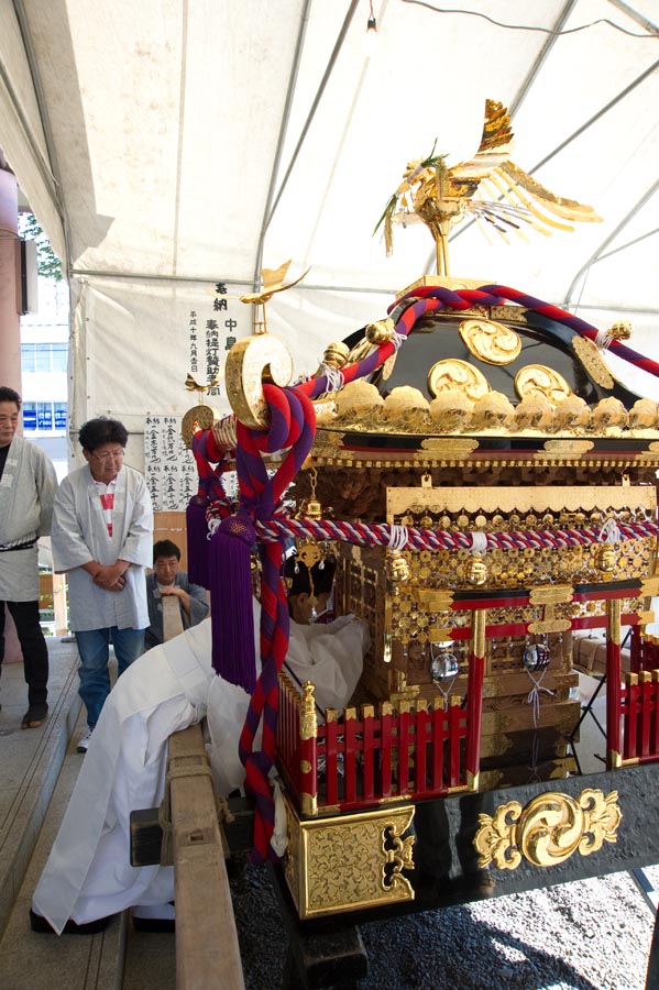 今年は特別、八坂のお神輿は韋駄天走り