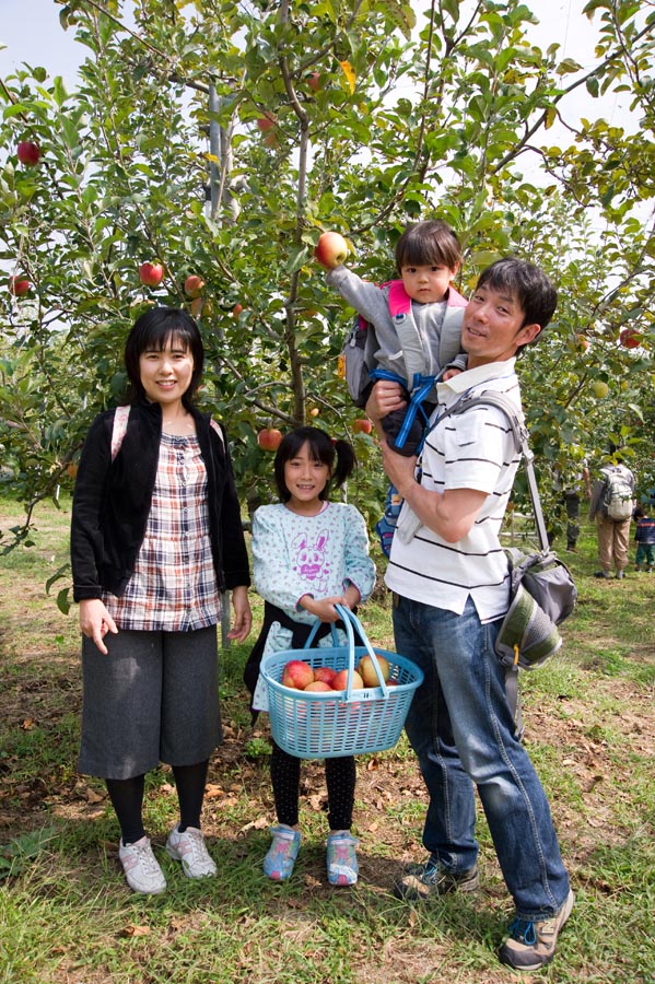 りんご狩り、来月の「ふじ」もお早目に