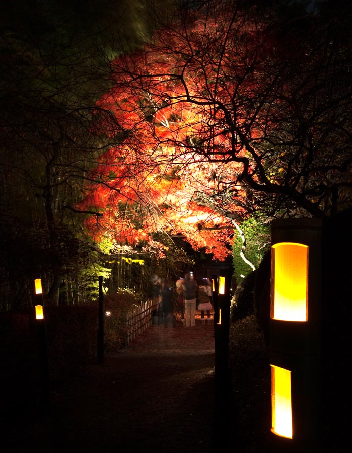 京王百草園紅葉まつり