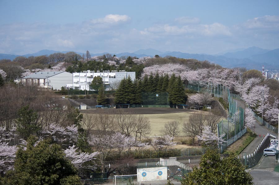 「平山季重ウォーキングin日野」開催