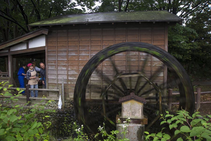 コットン、コットン、水車が回る