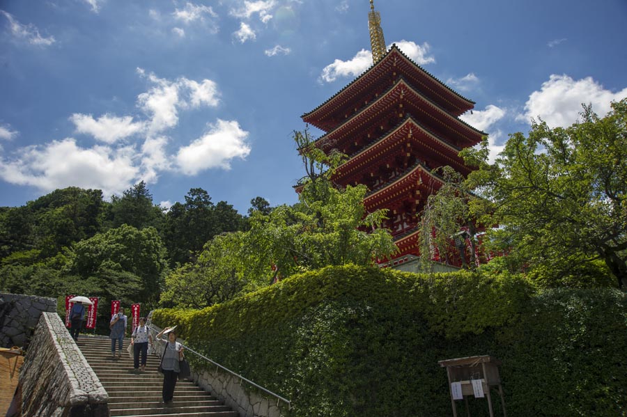 静かな夏の訪れ