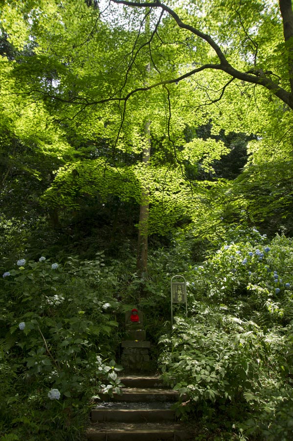 静かな夏の訪れ