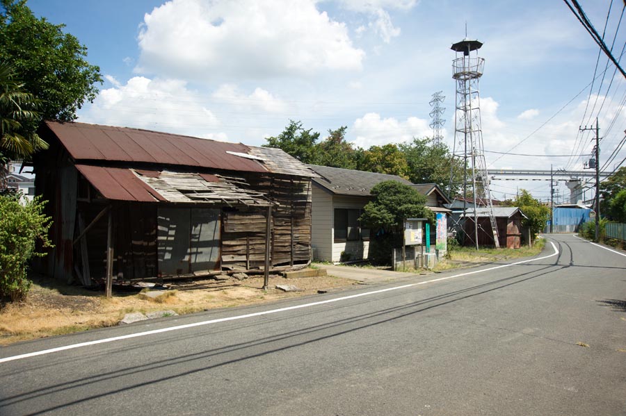 王手は日野の万願寺