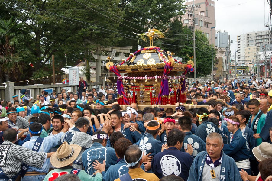 お神輿といっしょに