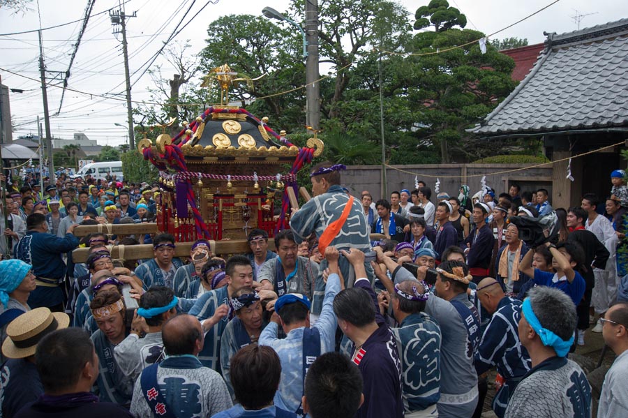 お神輿といっしょに