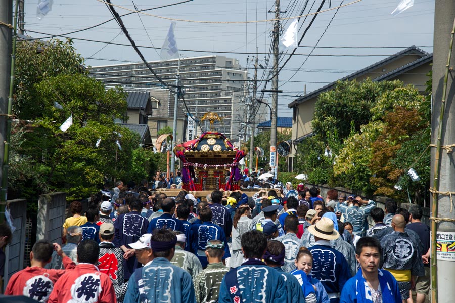 お神輿といっしょに