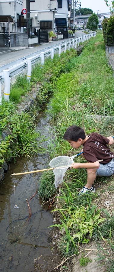 日野で里山文化塾　「水の郷・日野を歩く〜用水路を活かしたまちづくり〜」開催