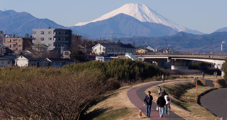 新春は日野開運七福神めぐりで開運を