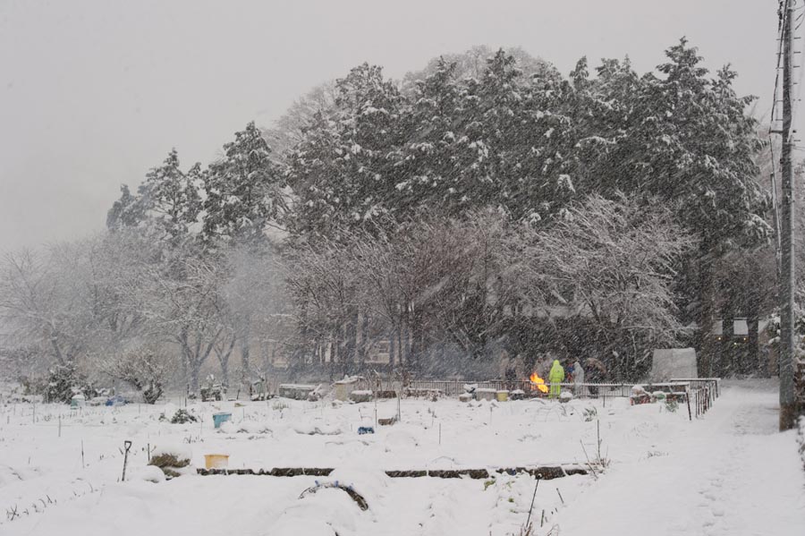 雪やこんこ、どんど焼き