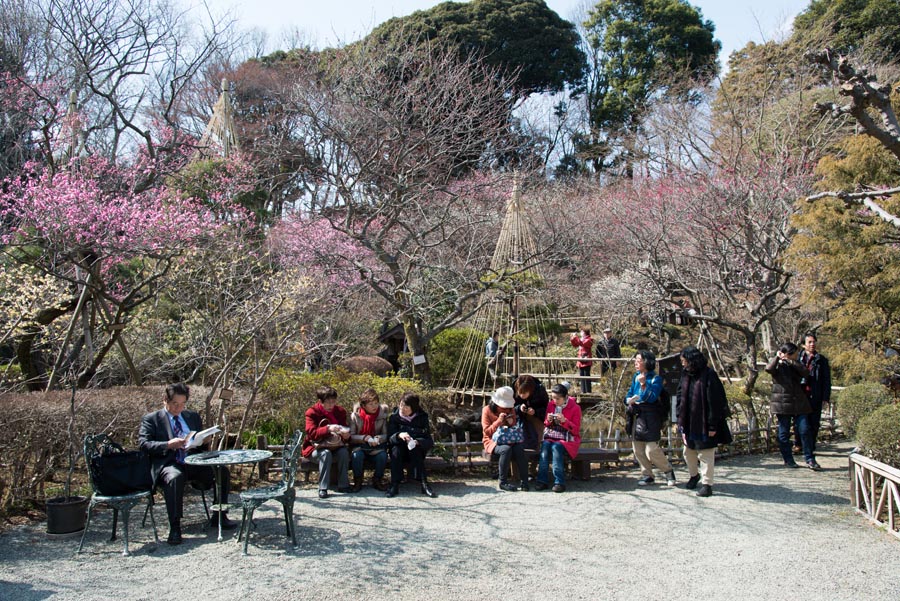 2013京王百草園「梅まつり」開催