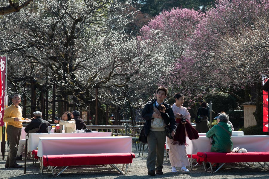 2013京王百草園「梅まつり」開催