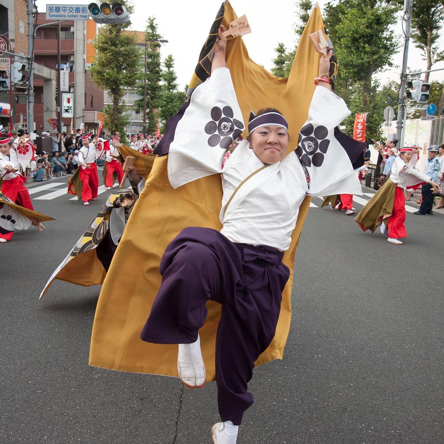 暑さも熱気で吹き飛んだ！？ひのよさこい祭