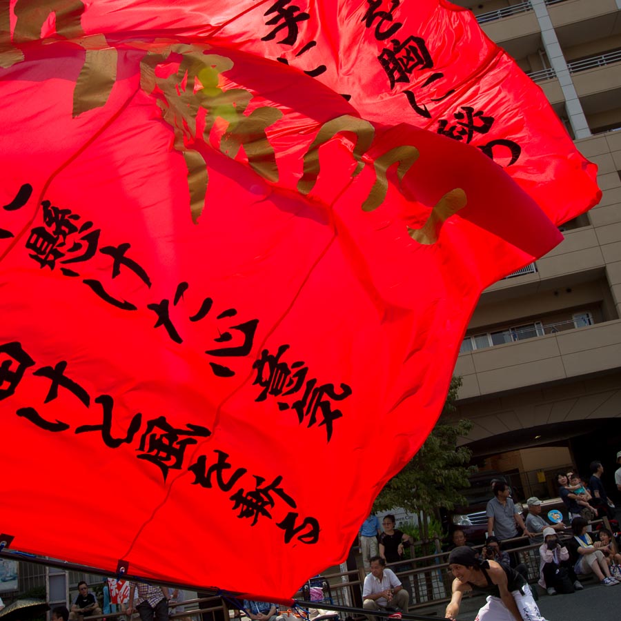 暑さも熱気で吹き飛んだ！？ひのよさこい祭