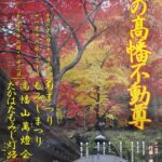 2010年高幡不動尊もみじまつり開催