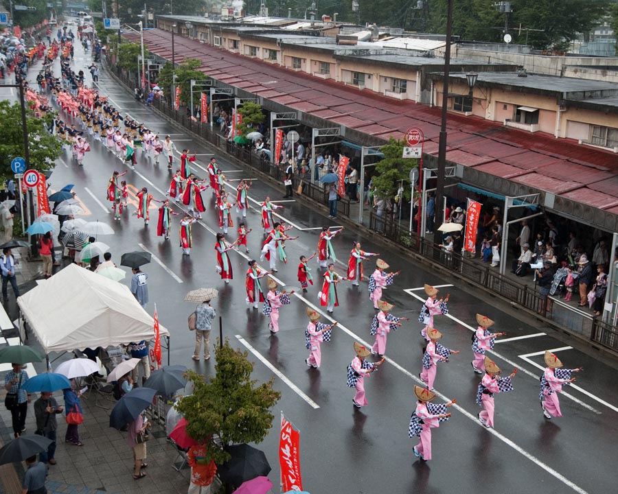 熱気で雨も吹き飛ばしたひのよさこい祭