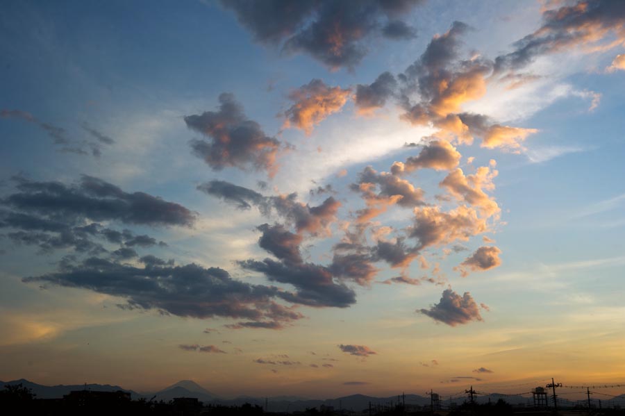 お隣の八王子市では、何と37.5℃だった日に