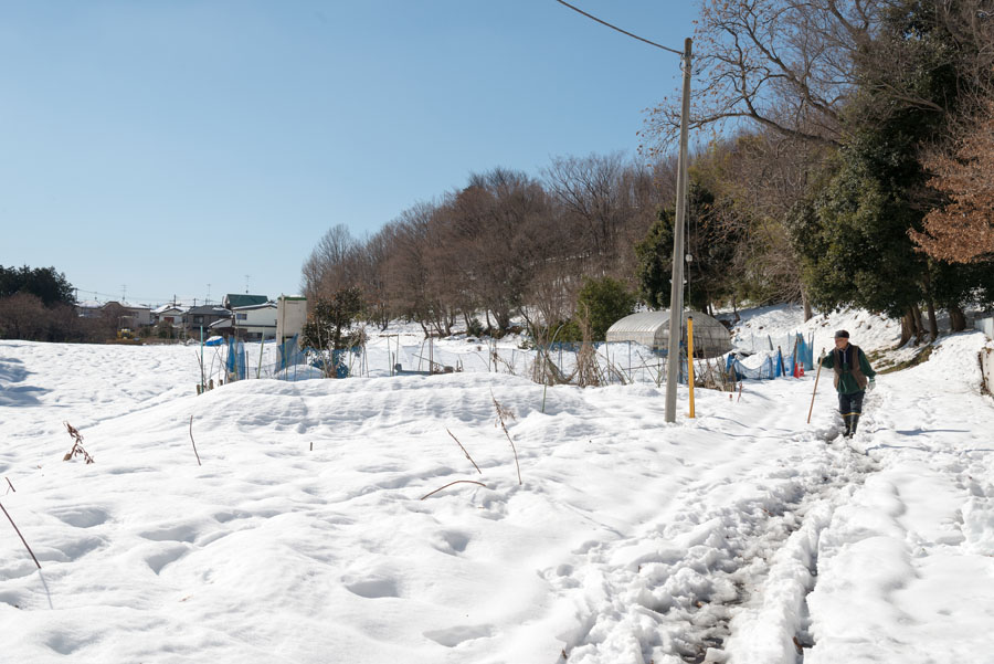 大雪、記録ラッシュ