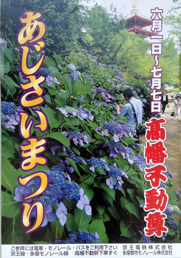 高幡不動尊あじさいまつり