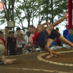 奉納子ども相撲大会も開催、豊田若宮神社例大祭