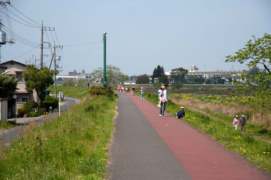 Fun run in Hino浅川サイクリングロード開催