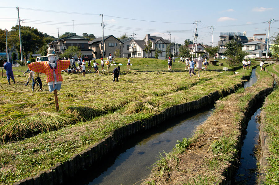 日野用水開削450周年記念講座「歩こう!日野用水」開催