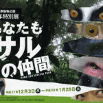 多摩動物公園で申年特別展「あなたもサルの仲間」開催中