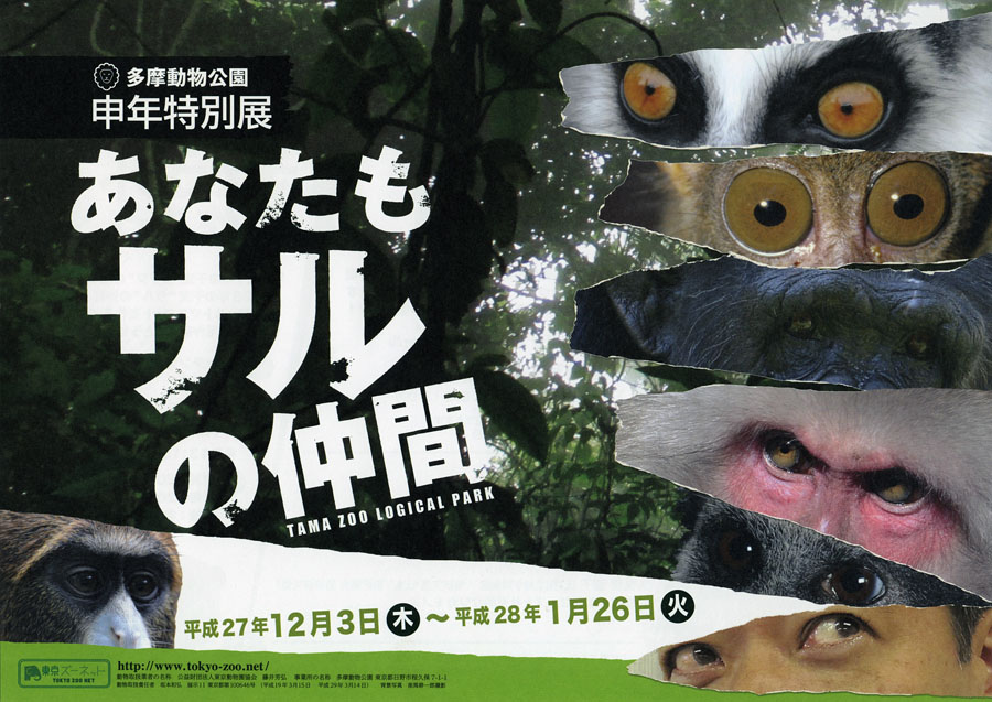 多摩動物公園で申年特別展「あなたもサルの仲間」開催中