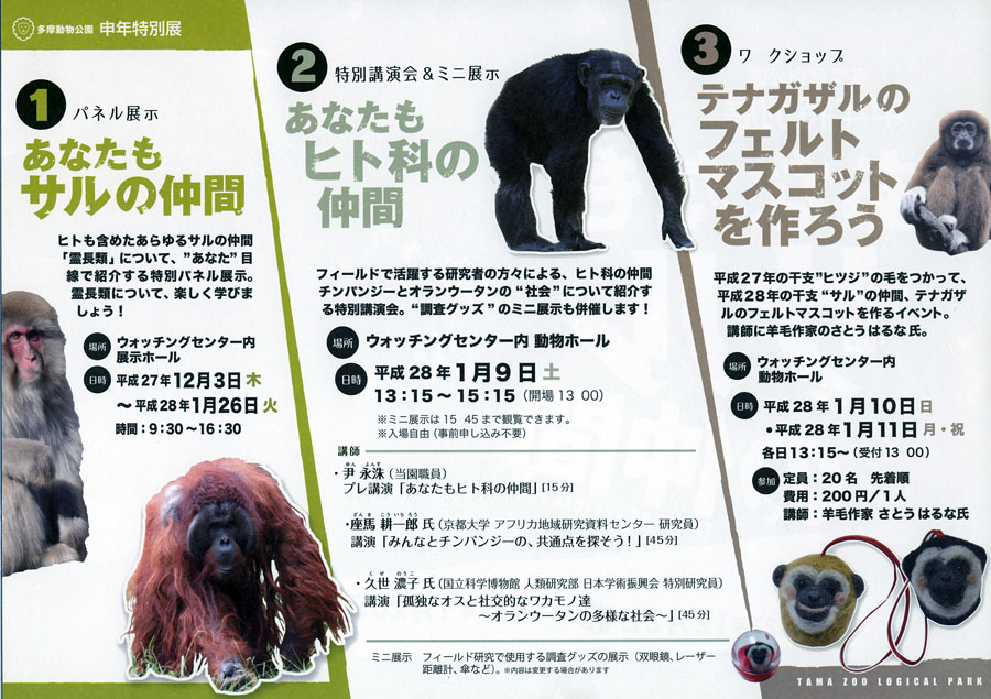 多摩動物公園で申年特別展「あなたもサルの仲間」開催中