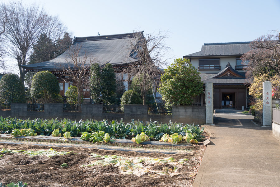 日野開運七福神めぐり