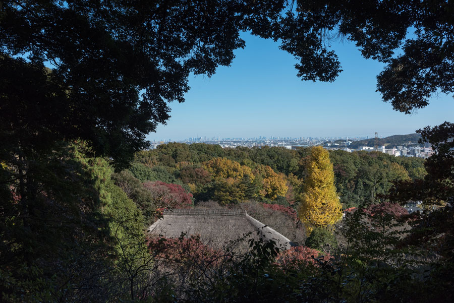 京王 百草園「紅葉まつり」開催