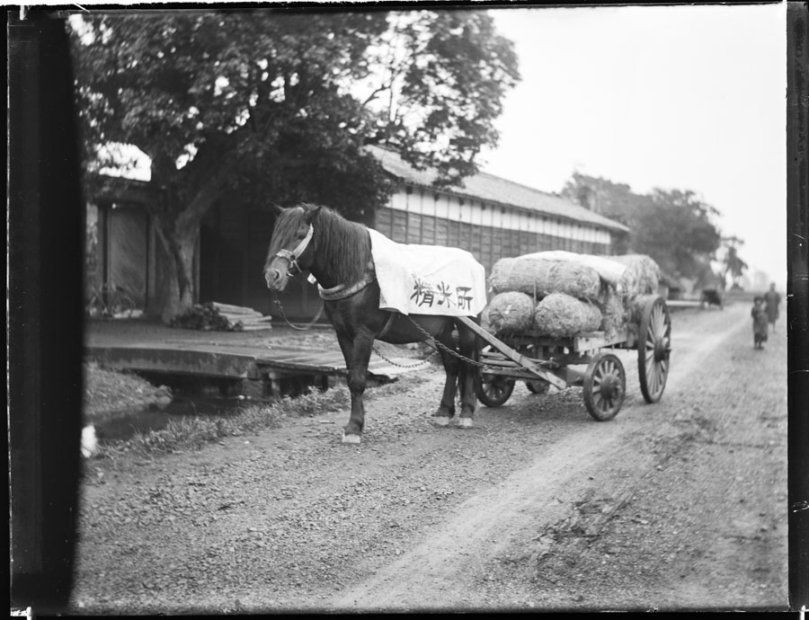 日野市郷土資料館パネル展「ガラス乾板からよみがえる100年前の豊田の風景」開催