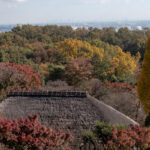 京王百草園「紅葉まつり」2021　開催