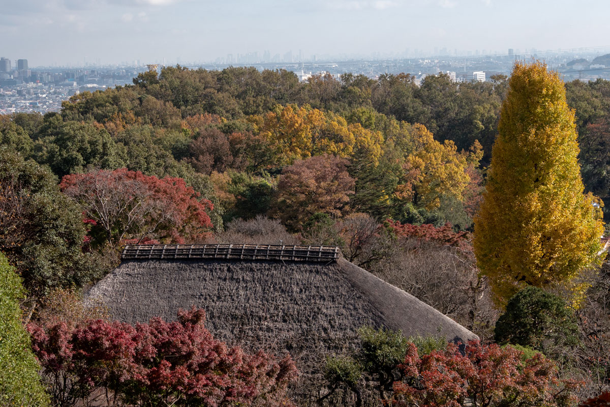 京王 百草園「紅葉まつり」開催