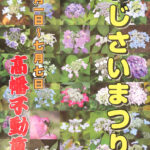 2018年高幡不動尊「あじさいまつり」開催