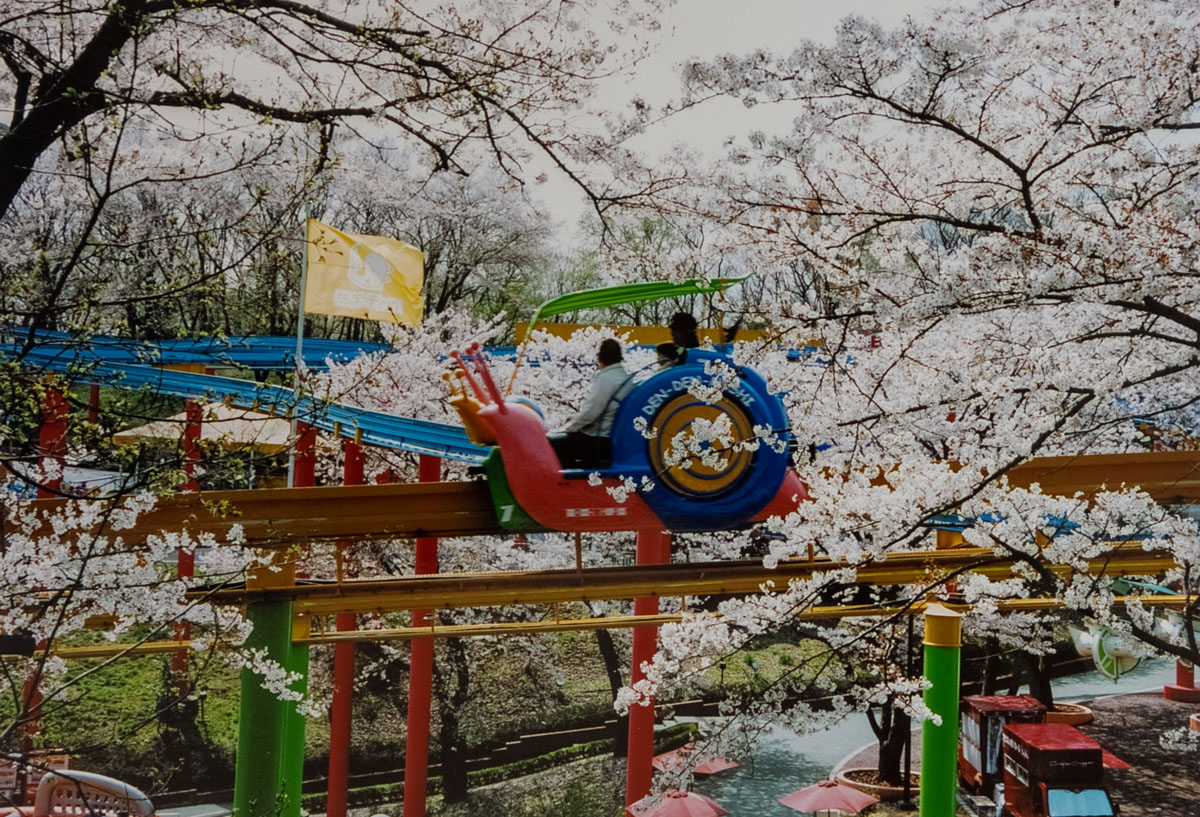 第54回「伸びゆく日野市」写真コンクールは開催します。