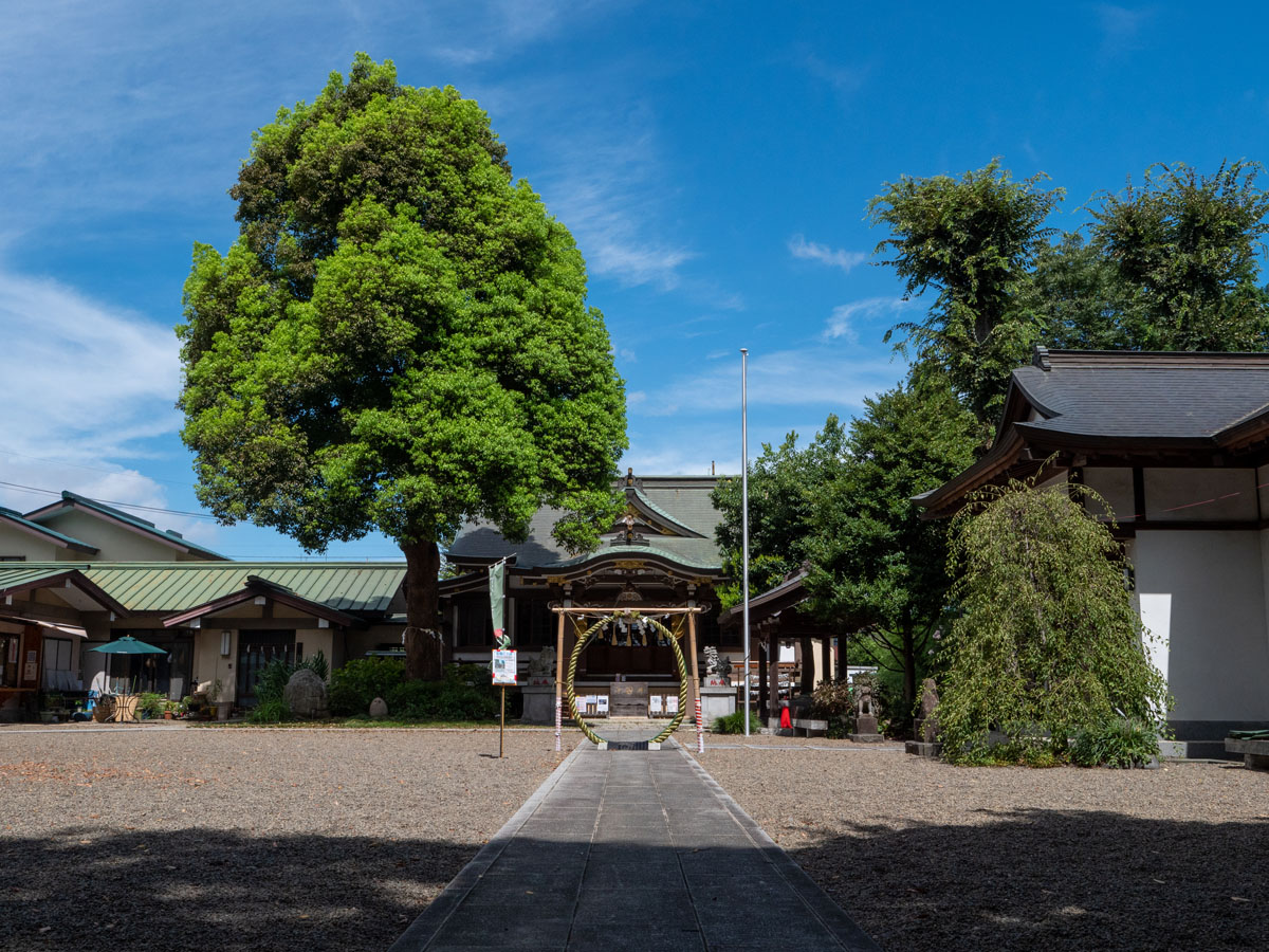 豊田若宮神社、例大祭に合わせ、新オリジナル御朱印登場、懐かし写真展も開催