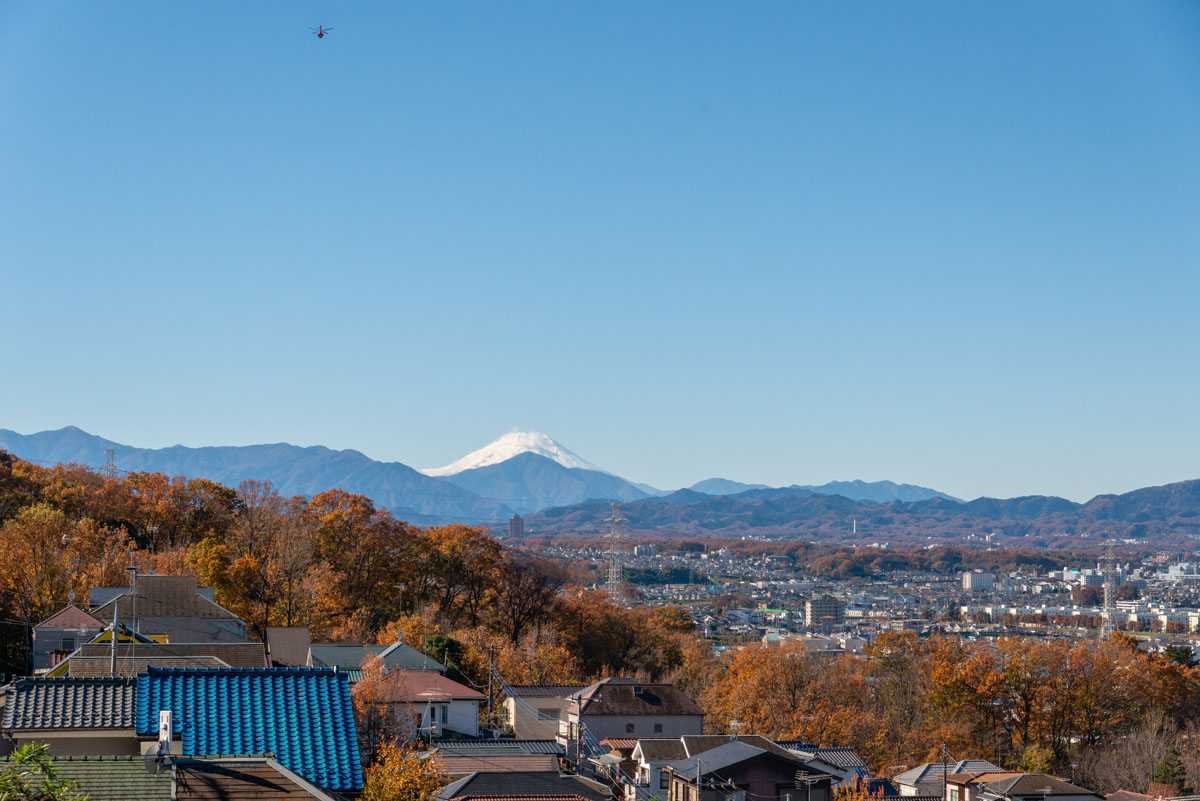 日野で晩秋を楽しむ