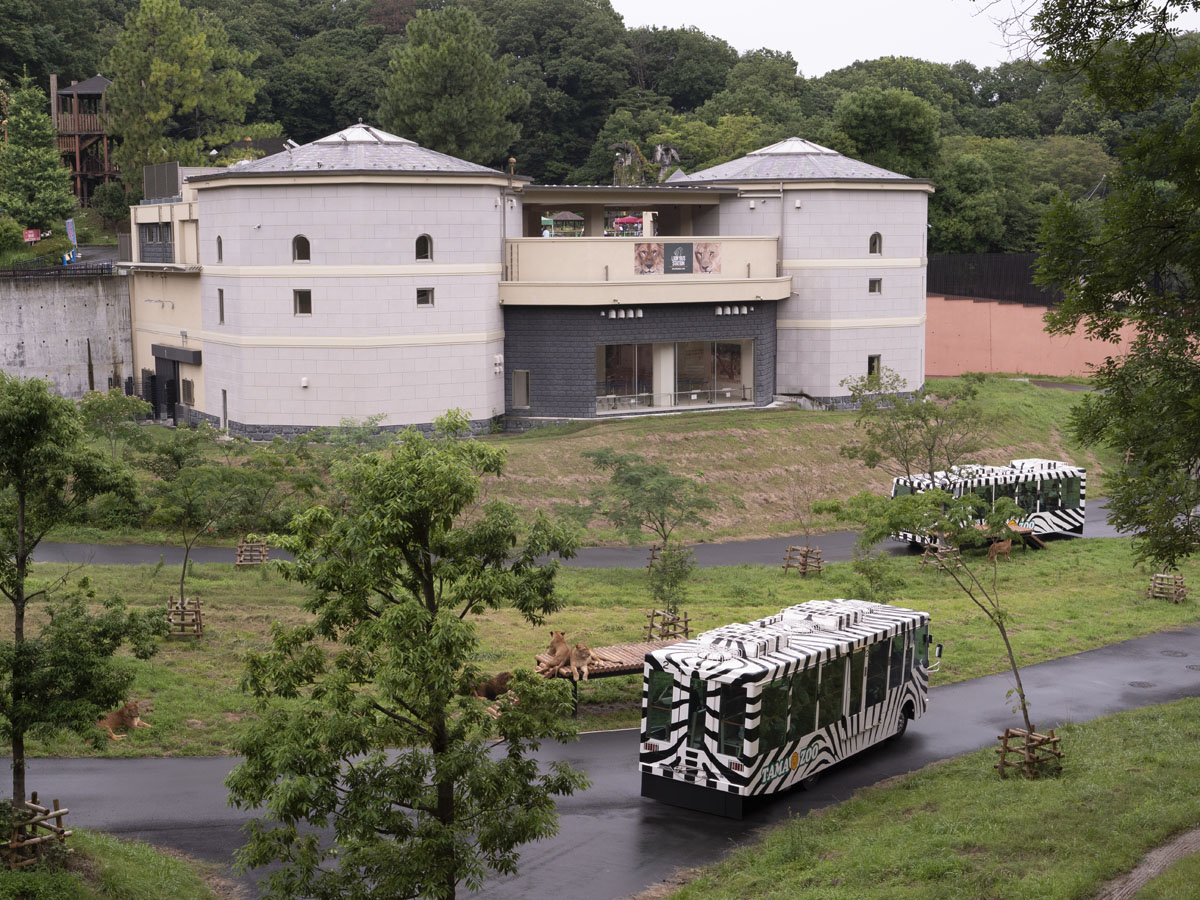 都立多摩動物公園ライオンバス運行再開