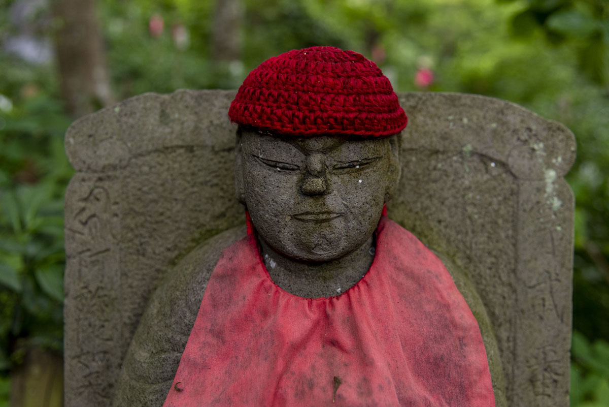 高幡不動尊の曼珠沙華、ご案内します