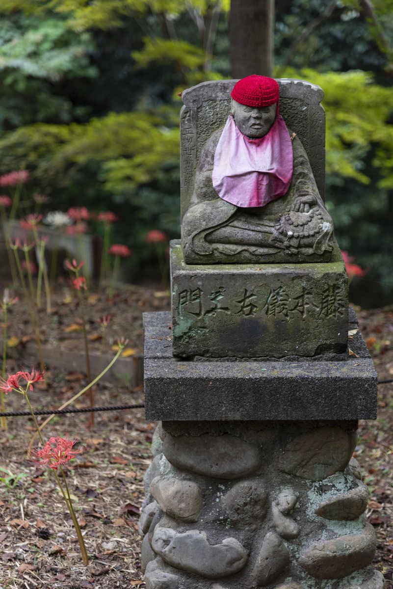 高幡不動尊　山内八十八ヶ所巡りと曼珠沙(まんじゅしゃ)華(げ)　　