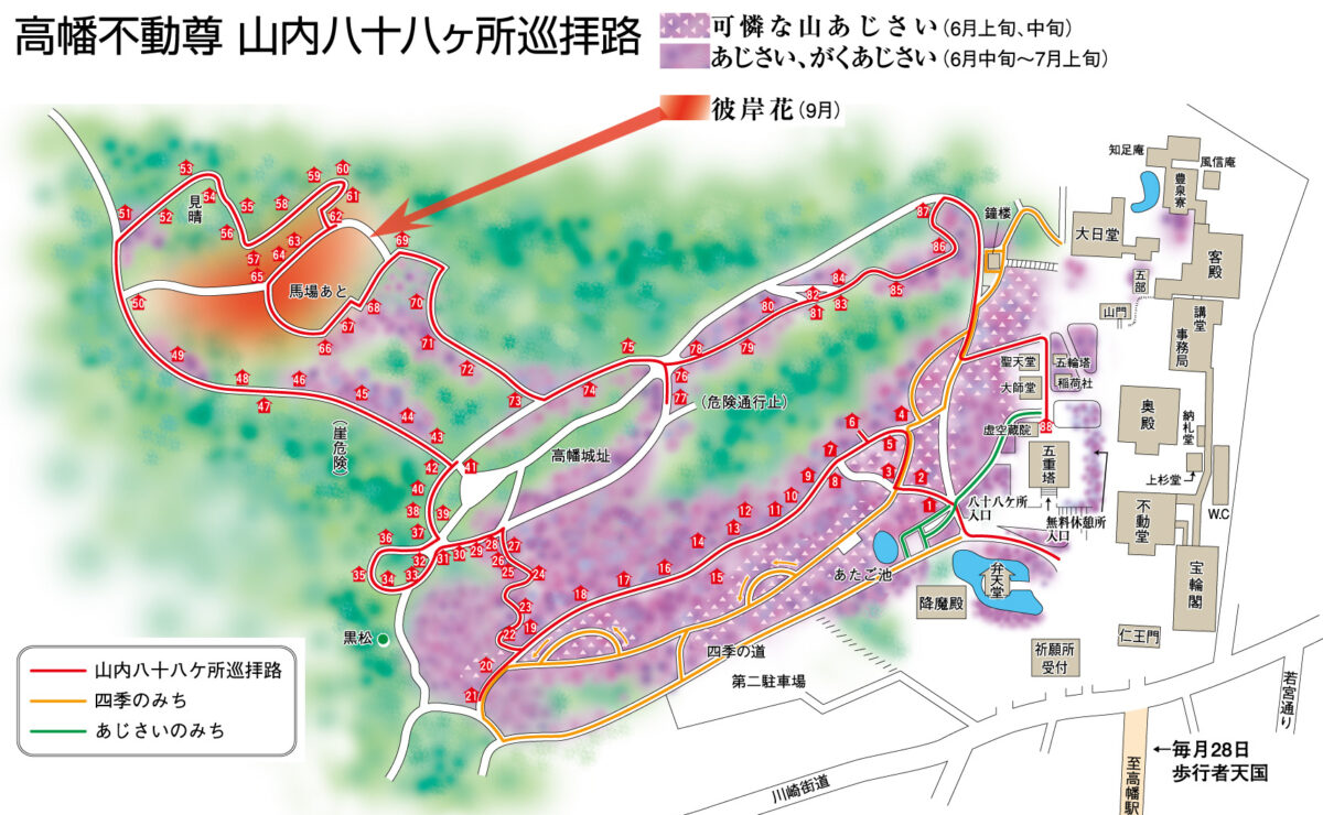 高幡不動尊　山内八十八ヶ所巡りと曼珠沙(まんじゅしゃ)華(げ)　　