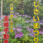 第38回高幡不動尊あじさいまつり開催