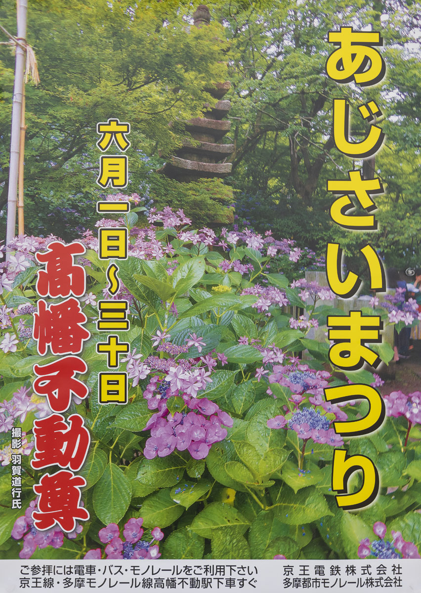 第38回高幡不動尊あじさいまつり開催