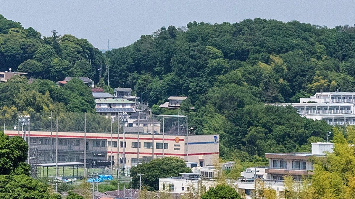 帝京大学総合博物館で小島善太郎展開催中